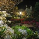 샛별펜션 이미지