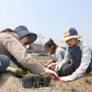 일대농장(2) 이미지