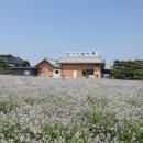 우성해장국 - 천안시 서북구 봉정로 208 | 우성해장국