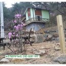 야생화테마펜션 이미지