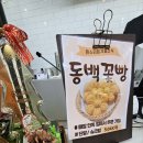 동백카페 - 여수시 자산4길 39 | 동백카페