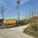 금희자원 네이버블로그
