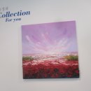 순천시 문화의 거리 이미지