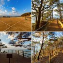 대천올레펜션 이미지