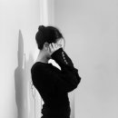 강아지 이발소 이미지