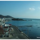 바다회식당 이미지