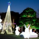 토끼게임장 이미지