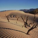 Death Valley National Park 世界의 놀라운風景 이미지