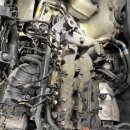 우일카센타 이미지