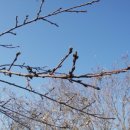 선산(창원) 이미지