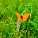 삼주공인중개사사무소 이미지