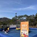 클럽아이리스 | [경북/칠곡] 클럽 아이리스 썰매장 방문 후기
