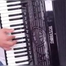 노세노세 이미지