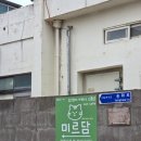 제주고양이 | 제주도 카페 추천 제주공항카페 미르담제주 고양이카페 후기
