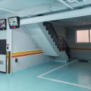 스테이인 1025 이미지