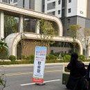 왕길공원 | 검단 메밀꽃 축제, 아이들과 함께한 가을 나들이 후기