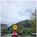 지리산쉼표 | 지리산캠핑장 자연 속 쉼표, 신박힐링캠프 후기