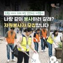 김해시 자원봉사센터 | [김해 소식] 초록매실로 김해를 깨우자! 자원봉사자 모집 안내 (5월~10월)
