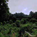 구산면623 이미지