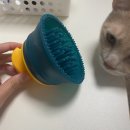 이루네 애완미용샵 | 고양이 셀프미용 후기 ㅣ고양이털 관리 비비루비네 홈케어 제품추천