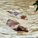 섬진강종주2 이미지