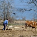 고향산천 이미지