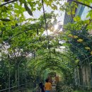 남목1동행정복지센터 이미지