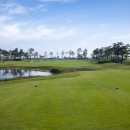 잭 니클라우스 골프클럽 코리아 이미지