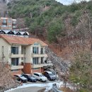 숲속의바다 숲속동 이미지