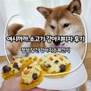 여시까까 소고기 강아지피자 후기｜정성 담긴 강아지수제간식