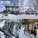 흰등 | 흰수염폭포 후라노치즈공방 닝구르테라스 후라노투어 후기