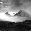 오창바로 이미지