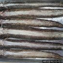 장어랑아나고 이미지