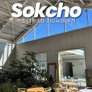 카페 속초 | 강원도 여행 속초 대형카페 추천 시드누아 후기