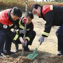 동산근린공원 이미지