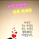하도 바보같아서 ~~🤣 이미지