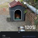 천지연랜드 | 4개월 차에 풀어보는 입사 한 달 파티썰(+ 연돈 천지연폭포)