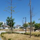 선학근린공원 이미지