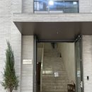 성수동 나들이 (앤더슨씨, 이구성수 테클라, 휴먼메이드, 아비에무아, 맥파이앤타이거)