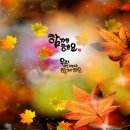 별밤지기 이미지