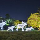 로맨틱 제주 이미지