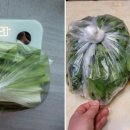 삼현농장 3 이미지