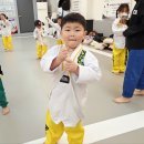 강한아이 태권도장 네이버블로그