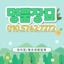 보성약품 이미지