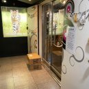 사바나 코쉬카 | 사바나코쉬카 - 후기 (고양이카페)