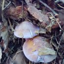 빈이농장 이미지