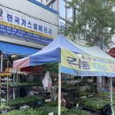 송정청과