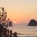 엘리스의 정원 이미지