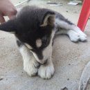 숙희농장 이미지