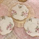 코테이지 이미지